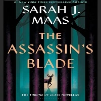 the assassin’s blade captivating review
