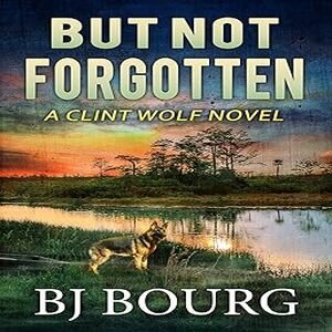 But Not Forgotten Book Review