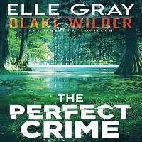 The Perfect Crime by Elle Gray Review